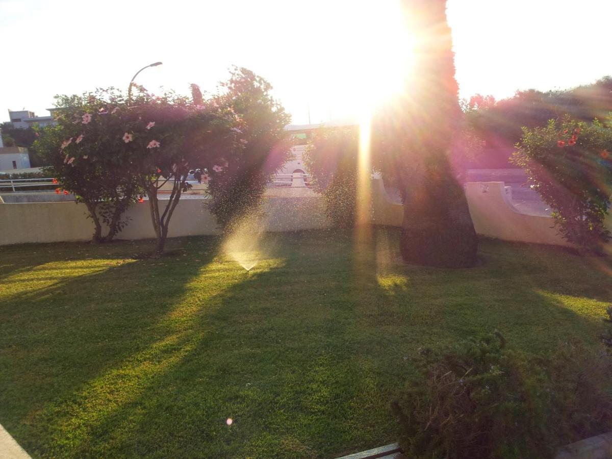 Tamatramas Bed & Breakfast Albufeira Dış mekan fotoğraf